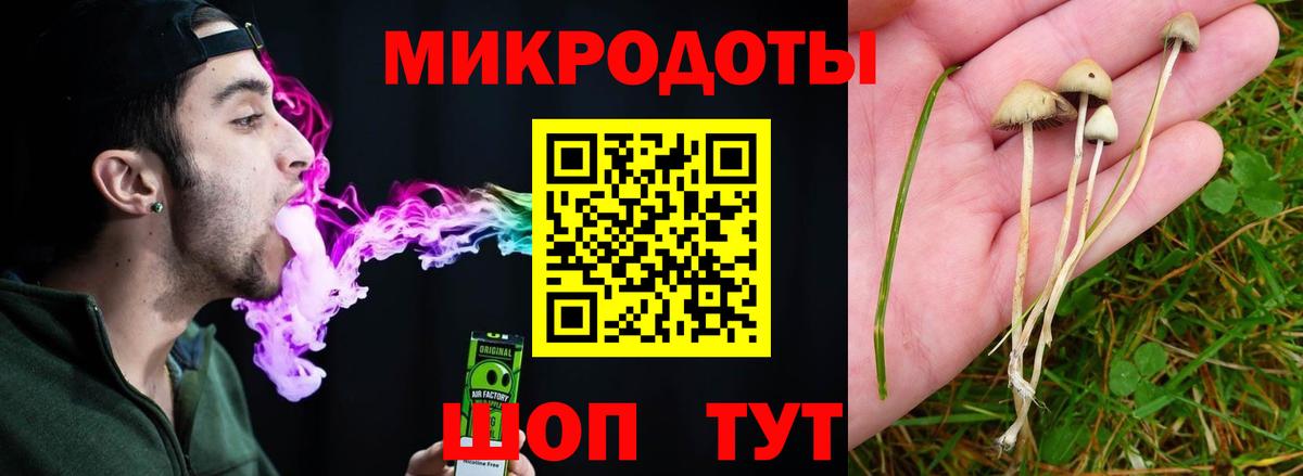 Псилоцибиновые грибы мицелий  Вход с VPN  Сарапул 